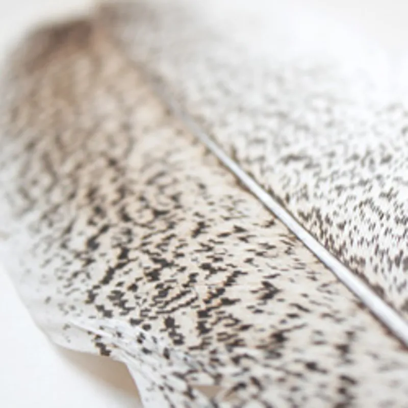 Light Oak Turkey Quill